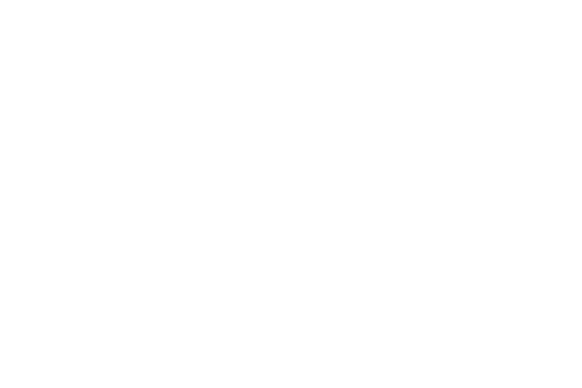 Serac Developments - Partners - ICON